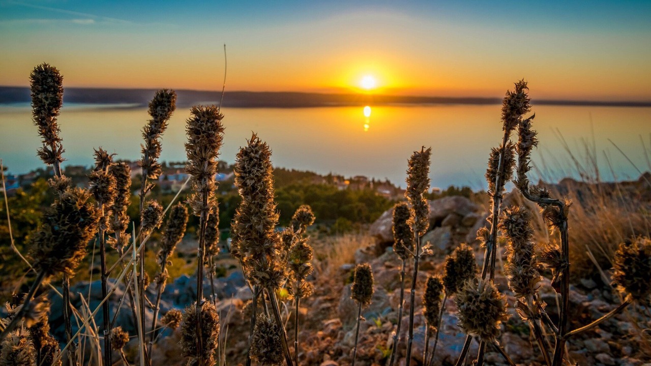 Photo of Others in Starigrad
