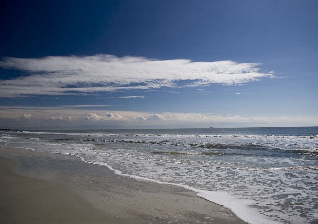 Photo of Others in Palmetto Dunes