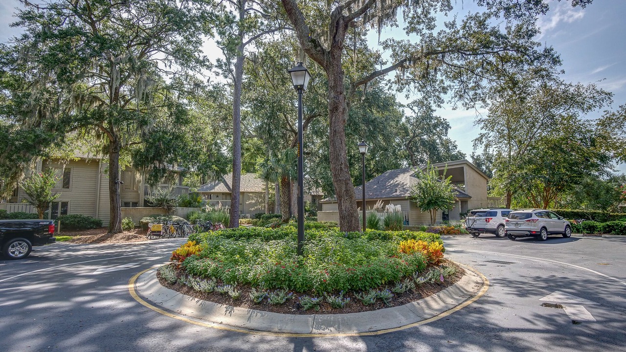 Photo of Outdoor in Palmetto Dunes