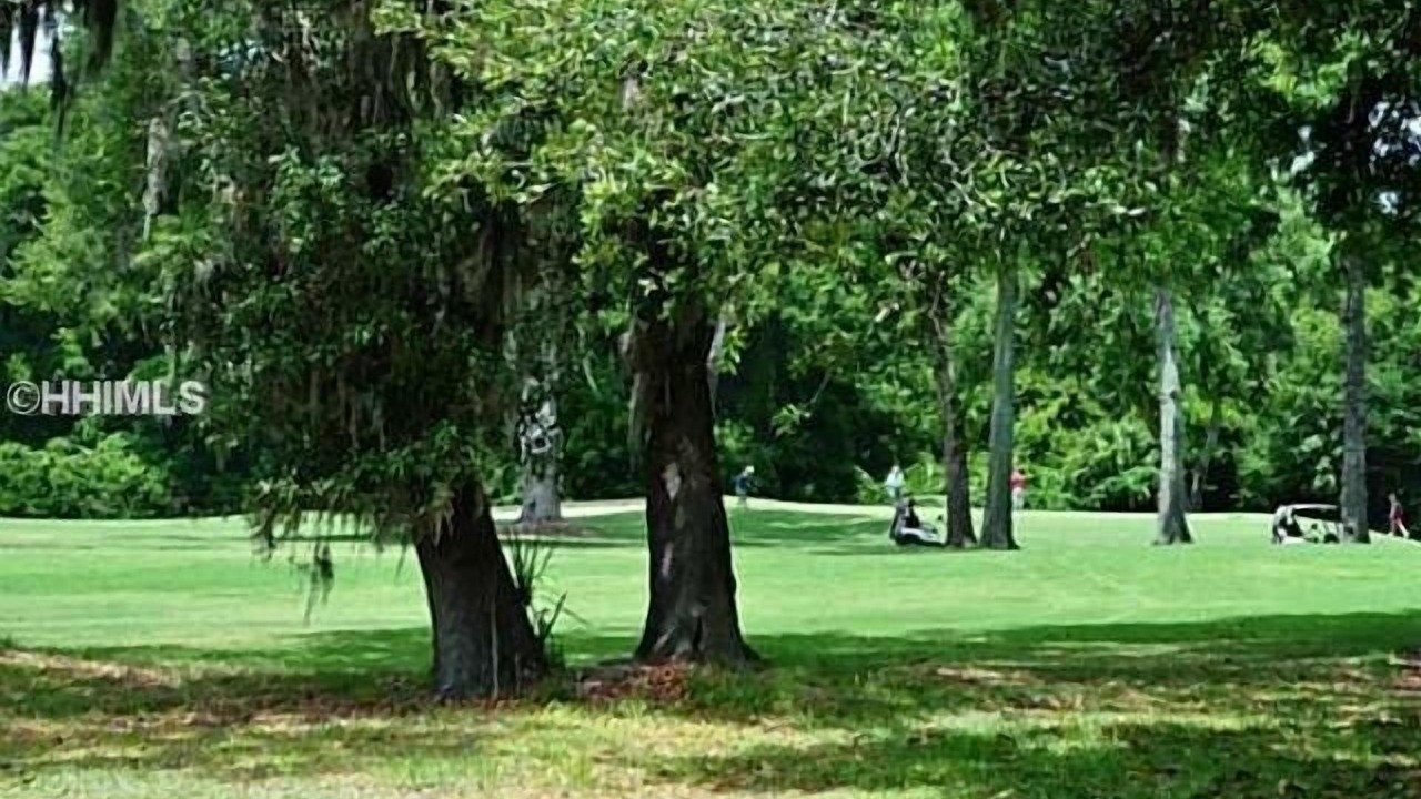 Photo of Others in Palmetto Dunes