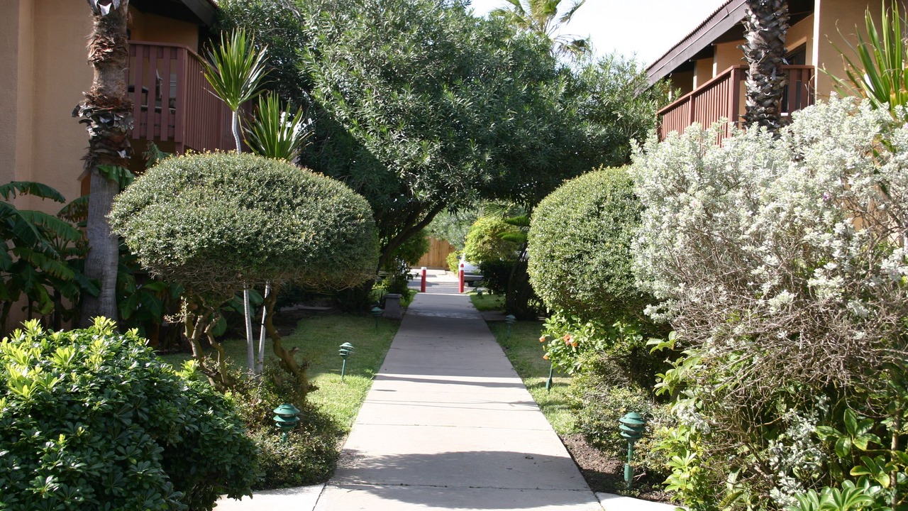 Photo of Outdoor in South Padre Island