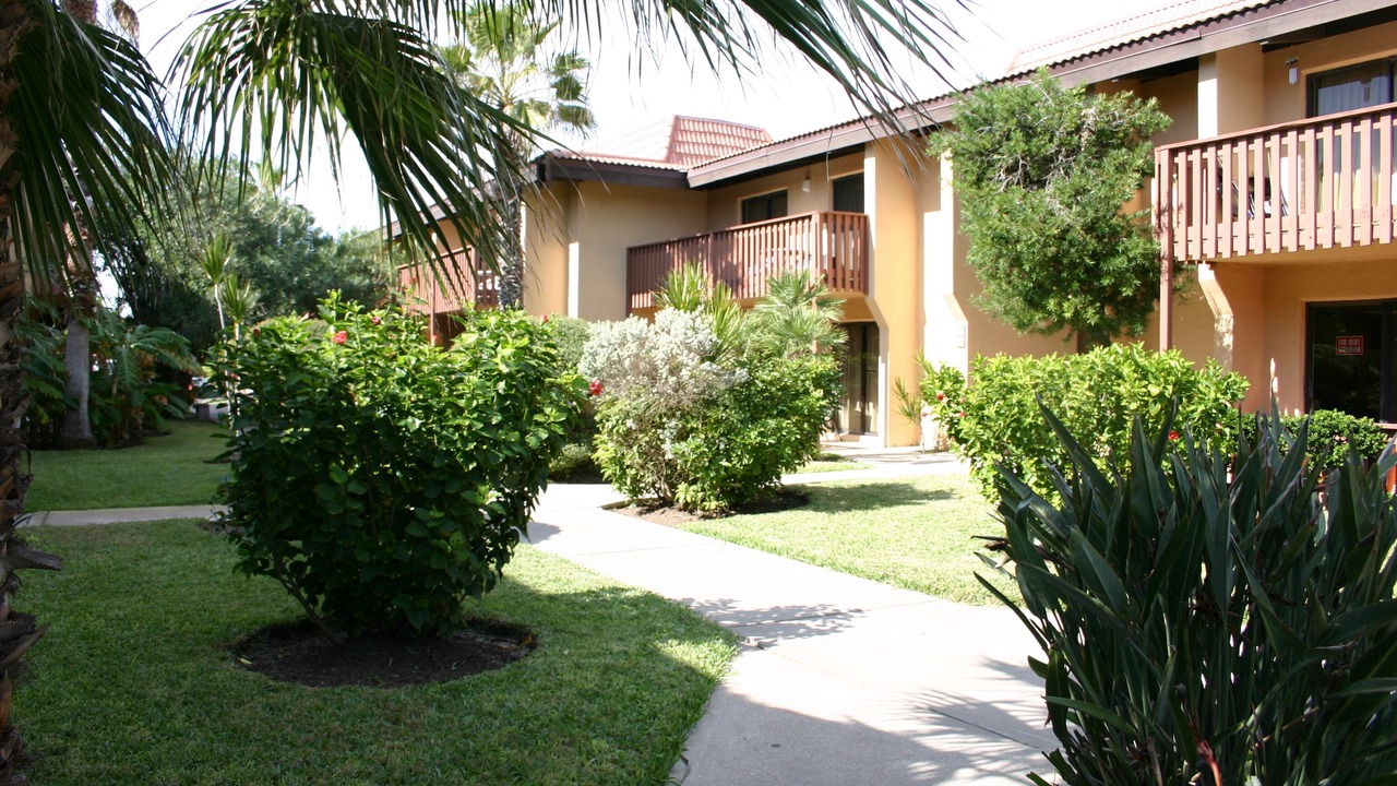 Photo of Outdoor in South Padre Island