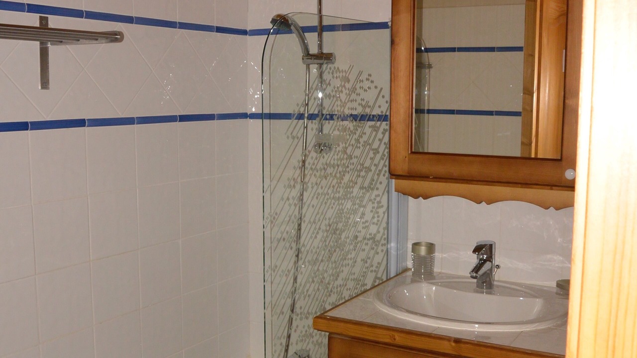 Photo of Bathroom in Bisanne 1500