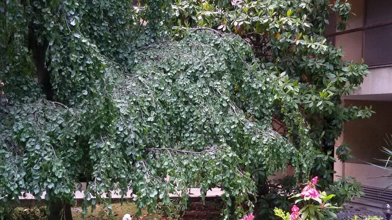 Photo of Outdoor in Neuilly-sur-Seine