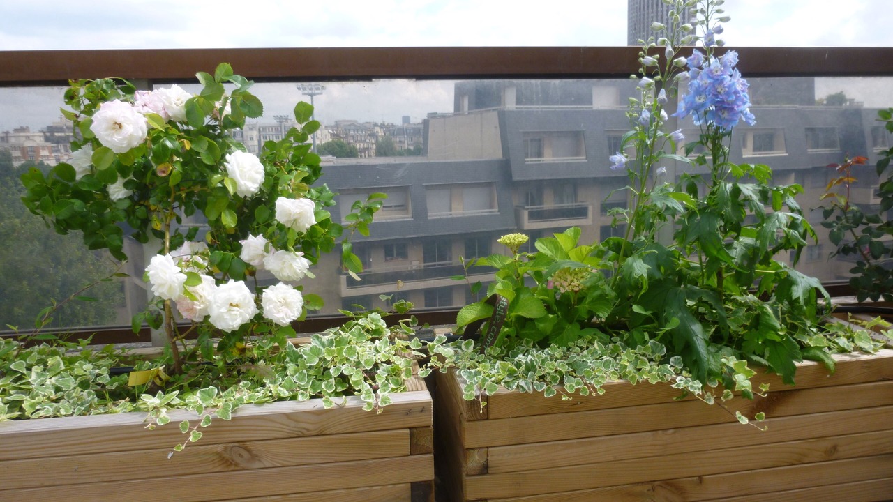 Photo of Outdoor in Neuilly-sur-Seine