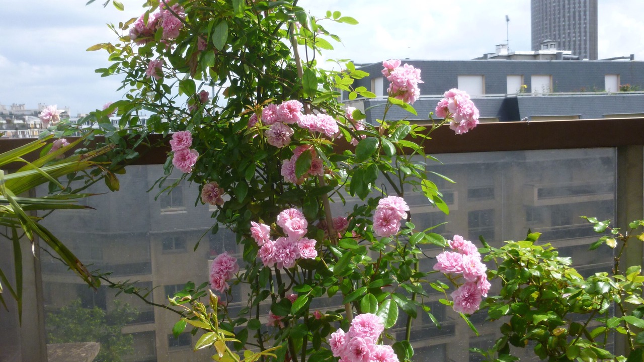 Photo of Outdoor in Neuilly-sur-Seine