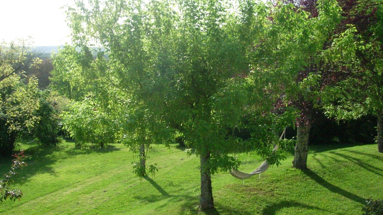 Photo of Outdoor in Puybrun