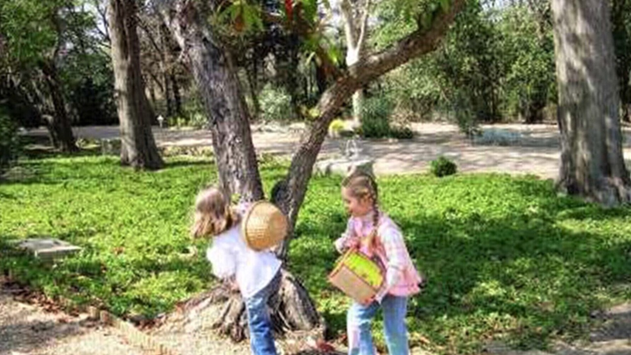Photo of Others in Narbonne