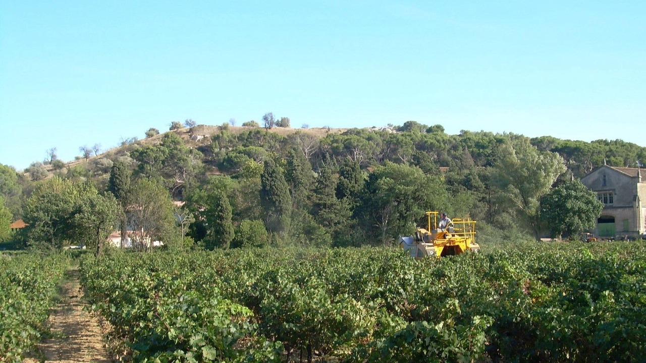 Photo of Outdoor in Narbonne