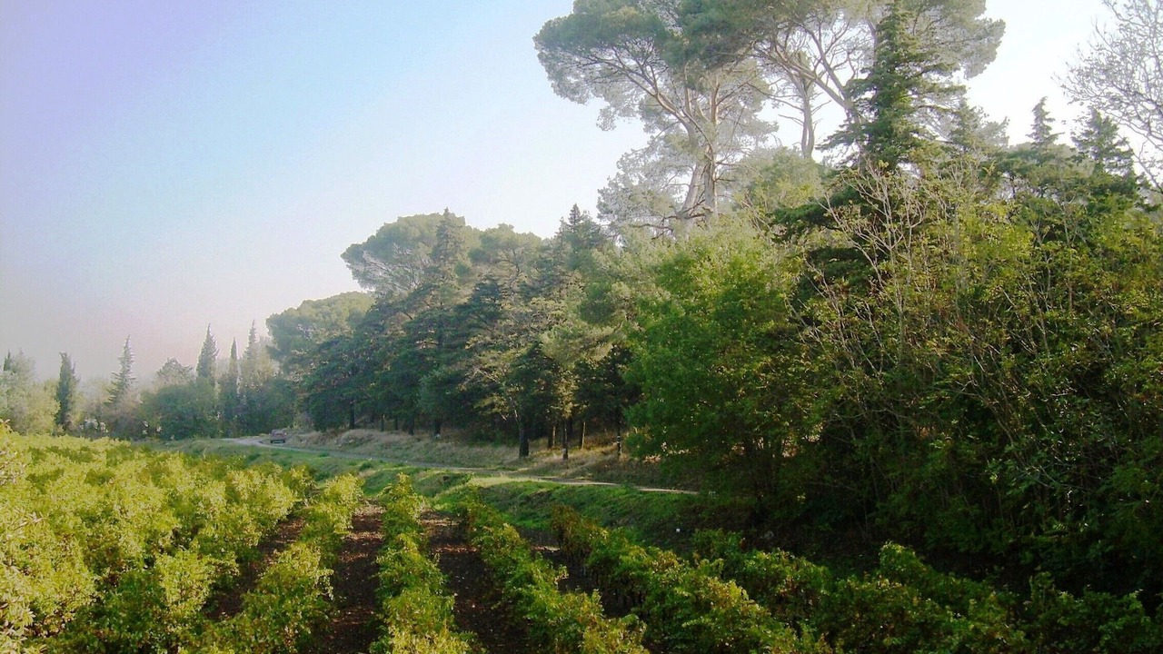 Photo of Outdoor in Narbonne