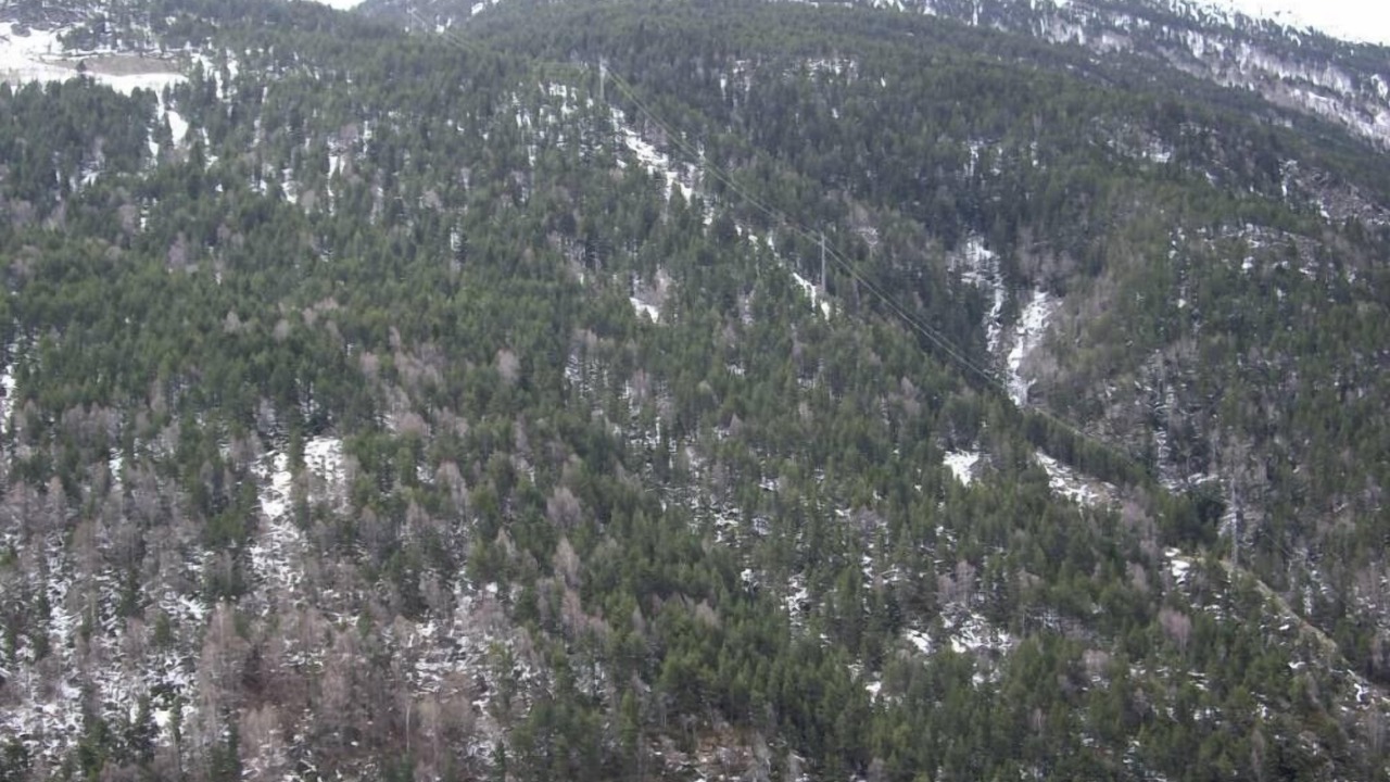 Photo of Outdoor in Ransol