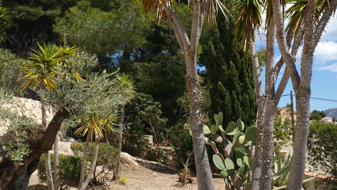 Photo of Outdoor in Benissa Coast