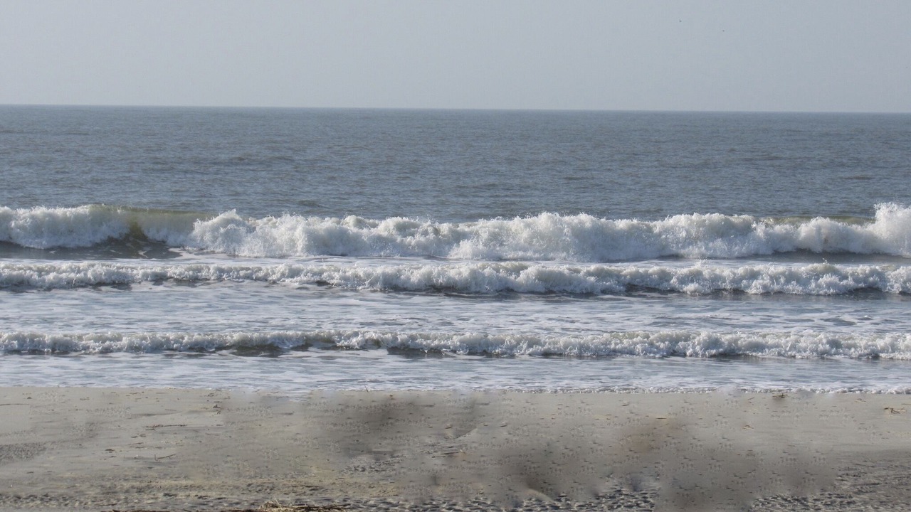 Photo of Others in Saint Helena Island