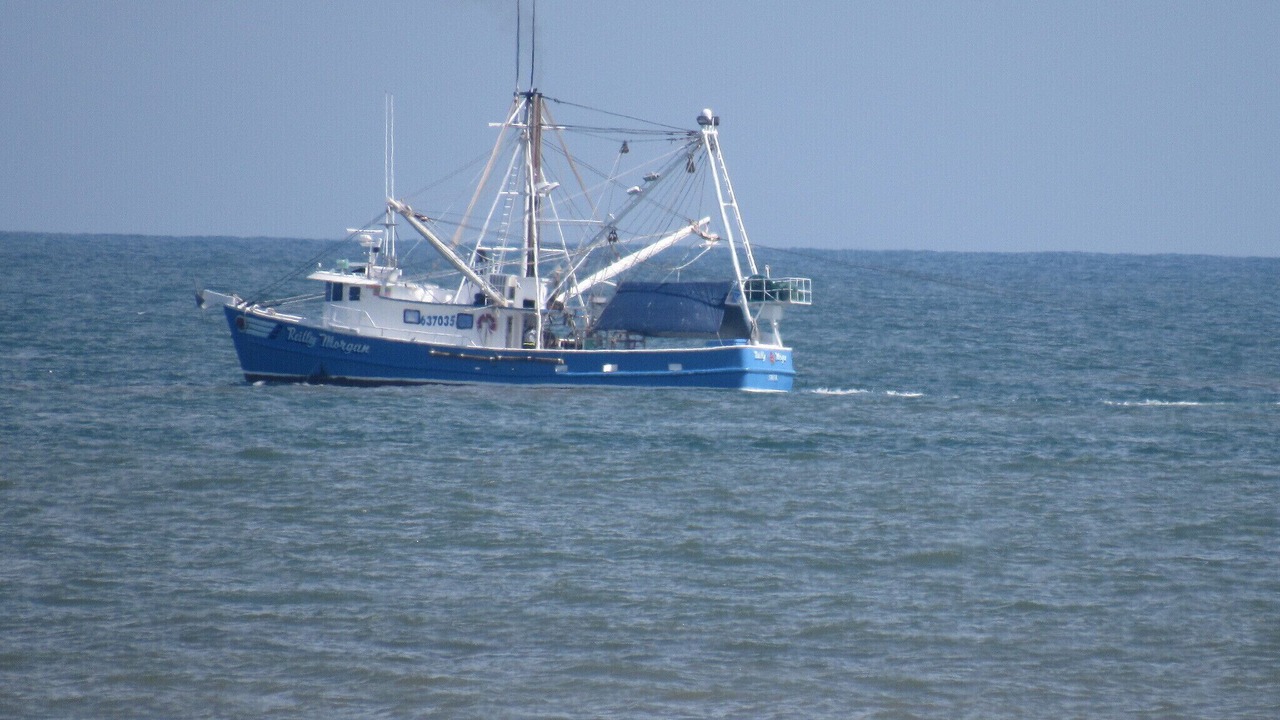 Photo of Others in Saint Helena Island