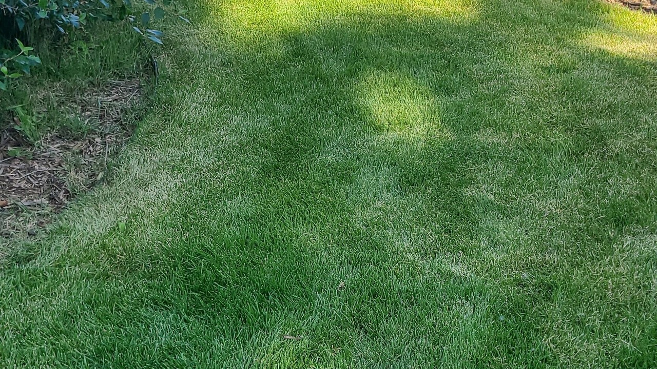 Photo of Others in Northeast Colorado Springs
