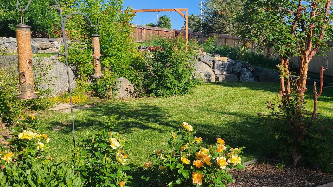 Photo of Outdoor in Northeast Colorado Springs