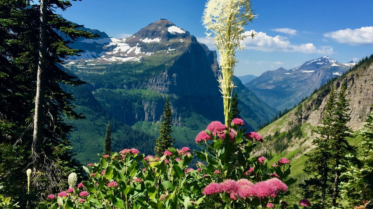 Photo of Outdoor in East Glacier Park Village