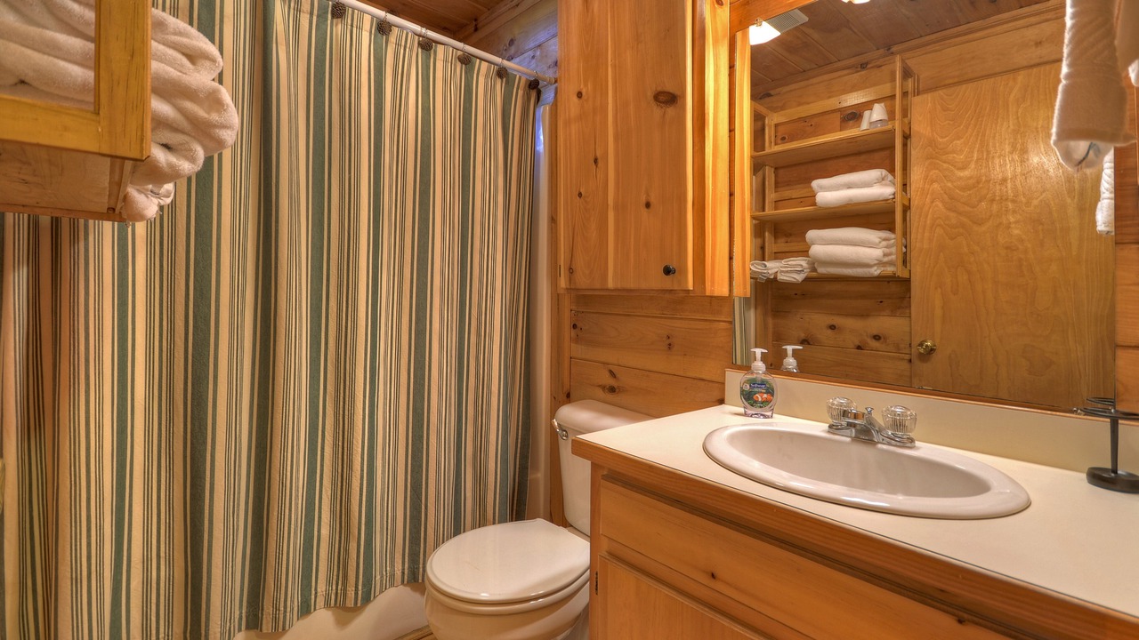 Photo of Bathroom in Blue Ridge