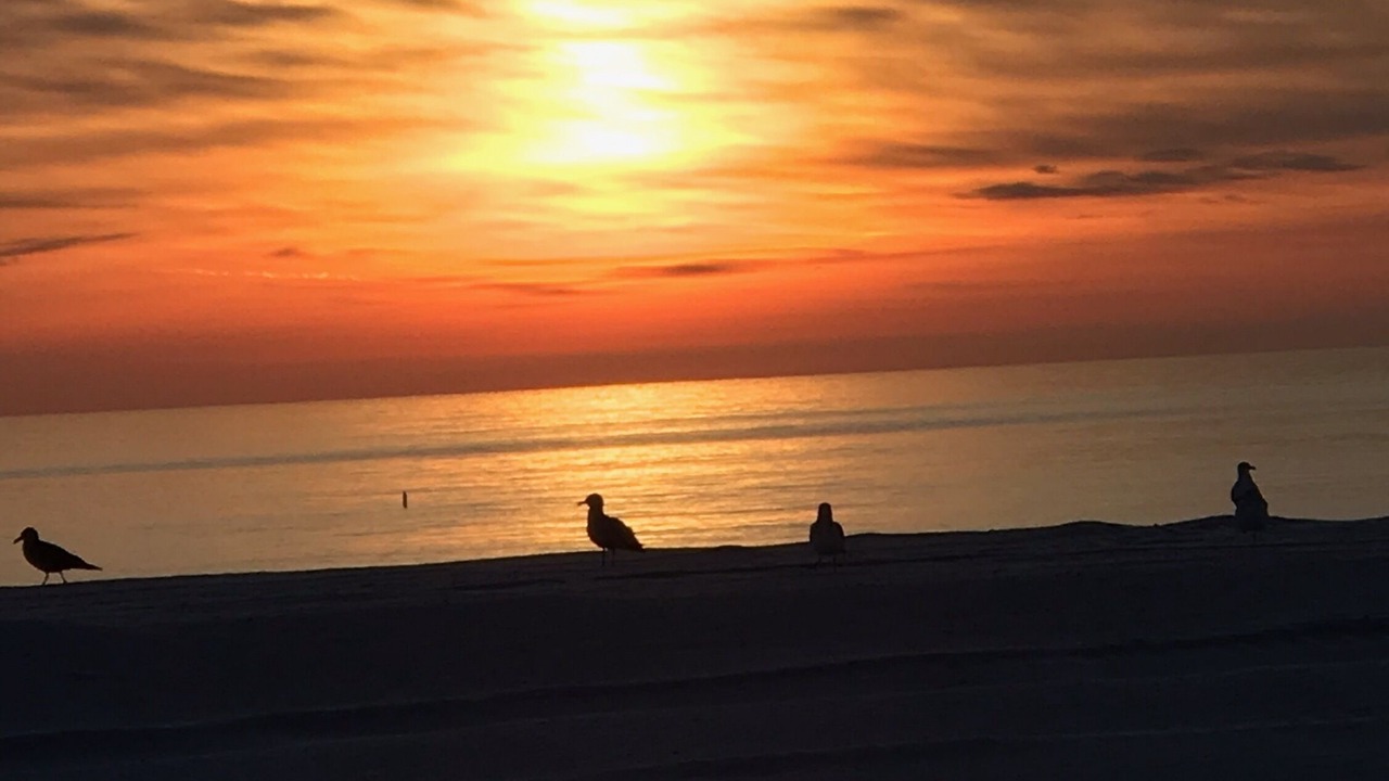 Photo of Others in Ocean Beach III