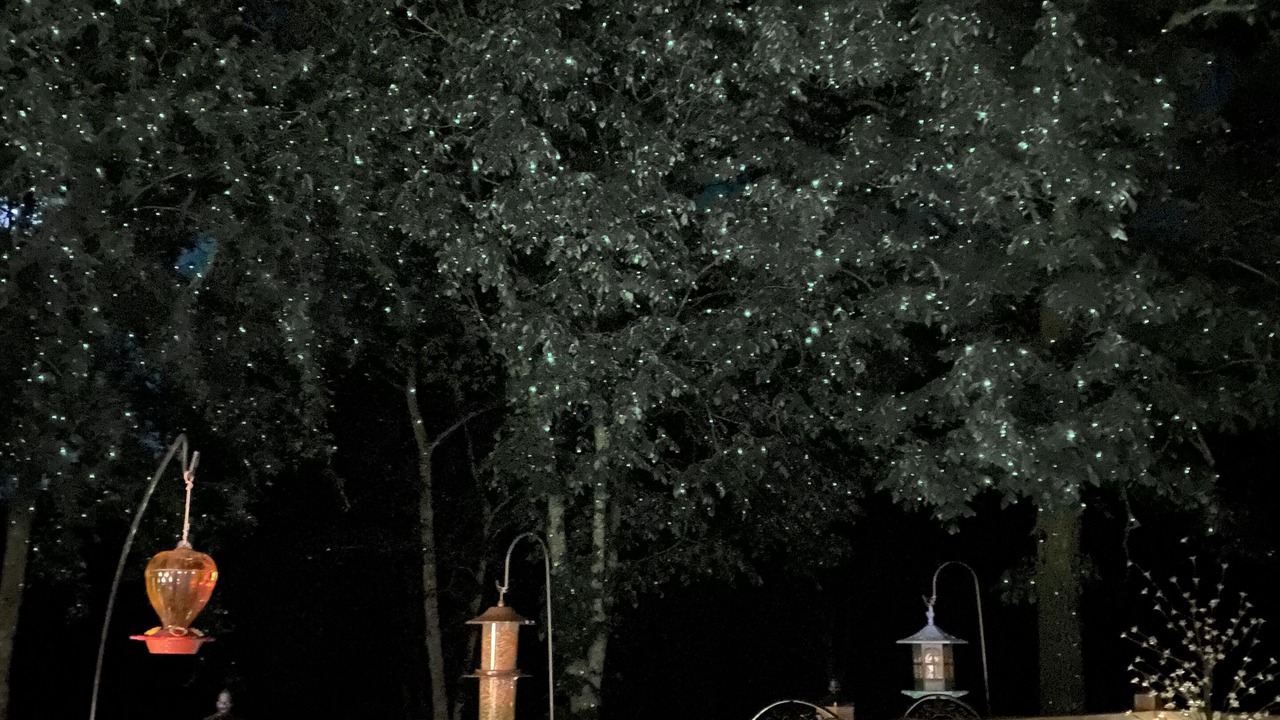 Photo of Outdoor in Grand Saline