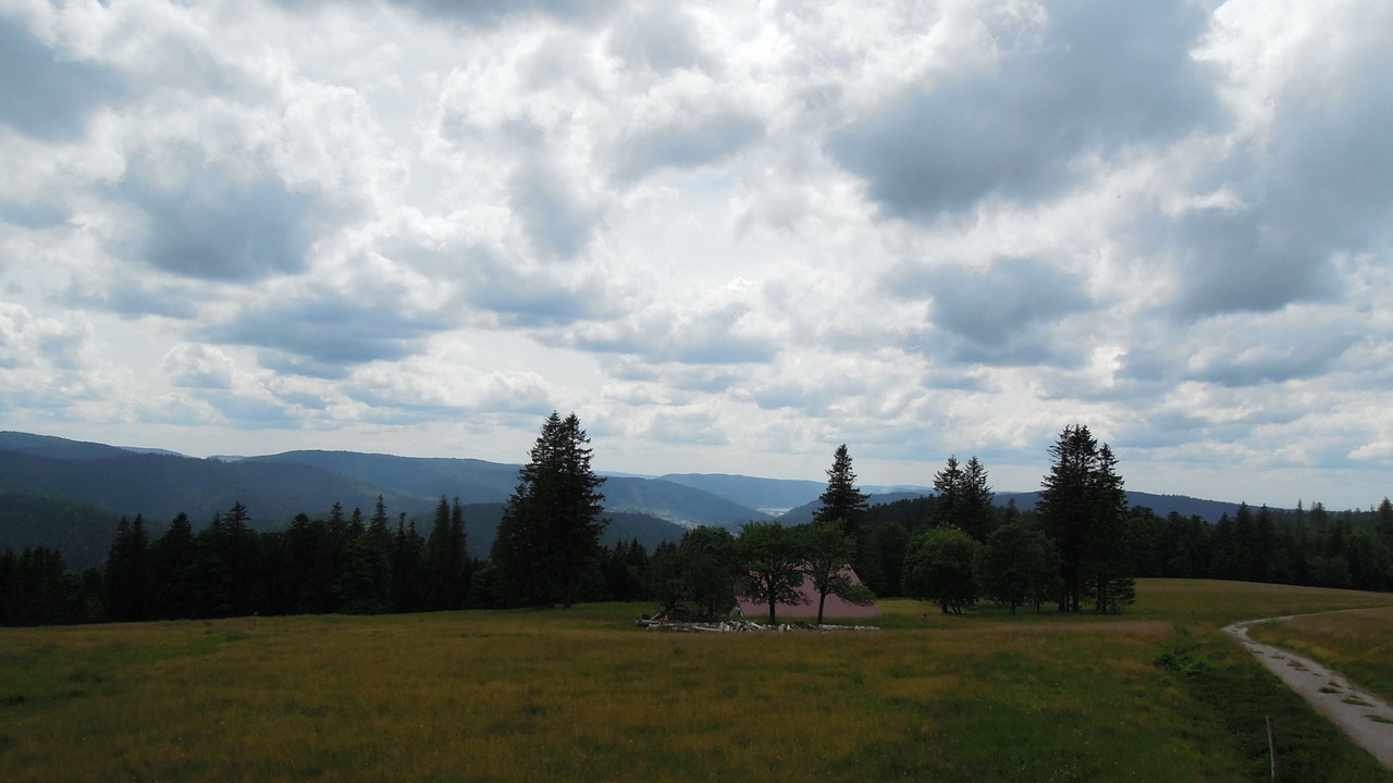 Photo of Outdoor in Fraize