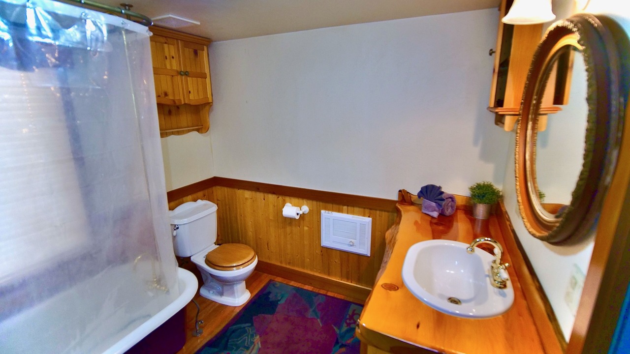 Photo of Bathroom in Idyllwild
