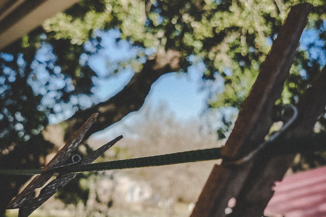 Photo of Outdoor in New Braunfels