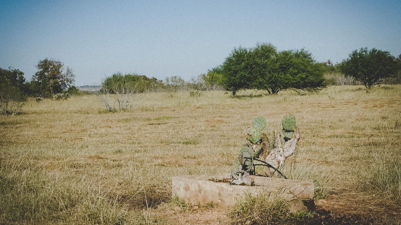 Photo of Others in New Braunfels