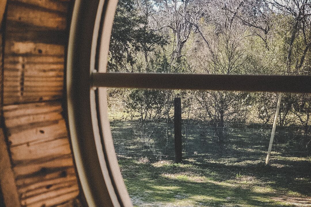 Photo of Others in New Braunfels