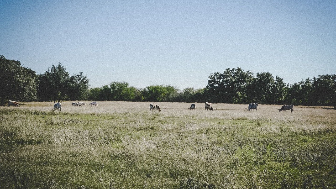 Photo of Others in New Braunfels
