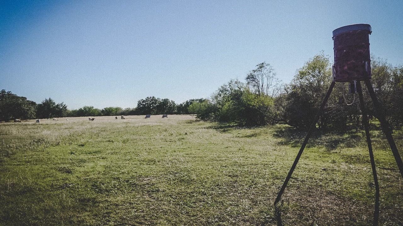 Photo of Outdoor in New Braunfels