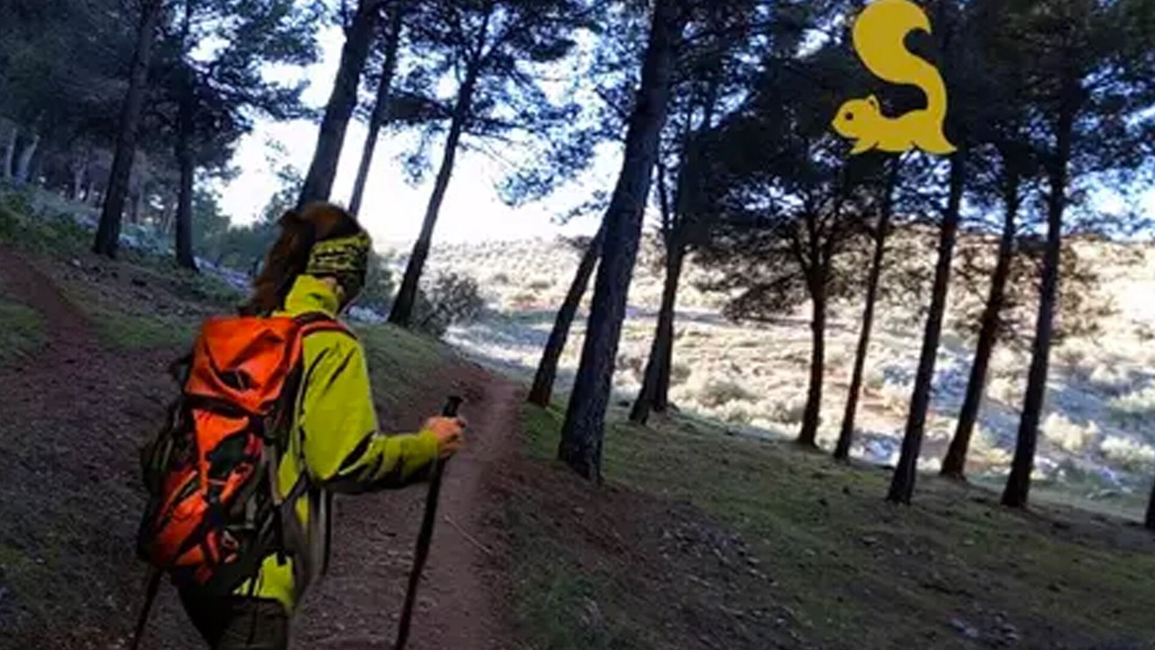 Photo of Others in Jaen
