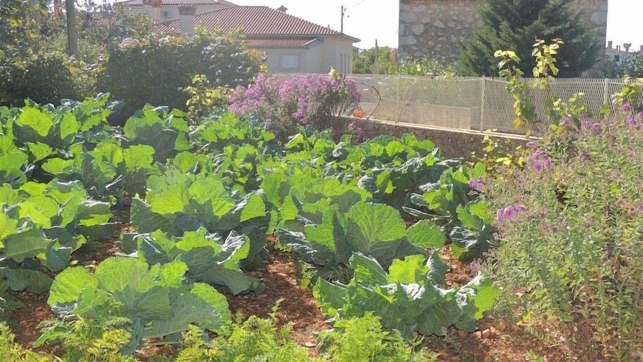Photo of Outdoor in Gabonjin