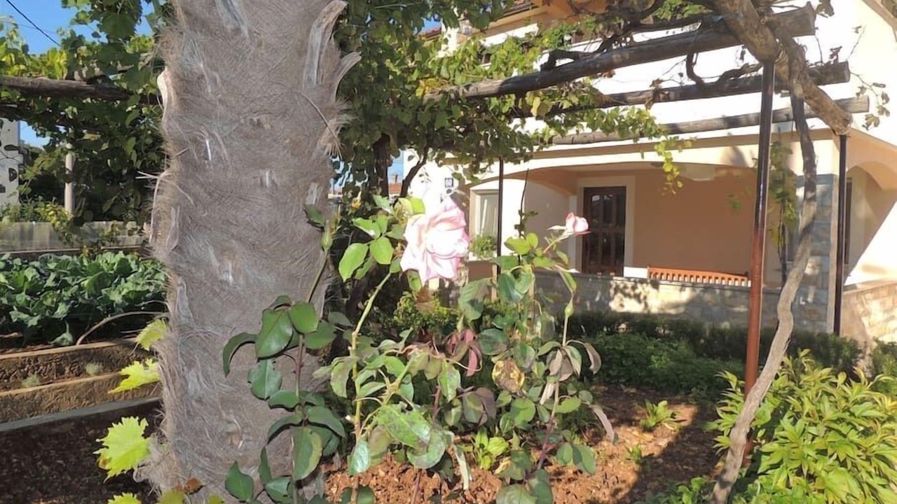 Photo of Outdoor in Gabonjin