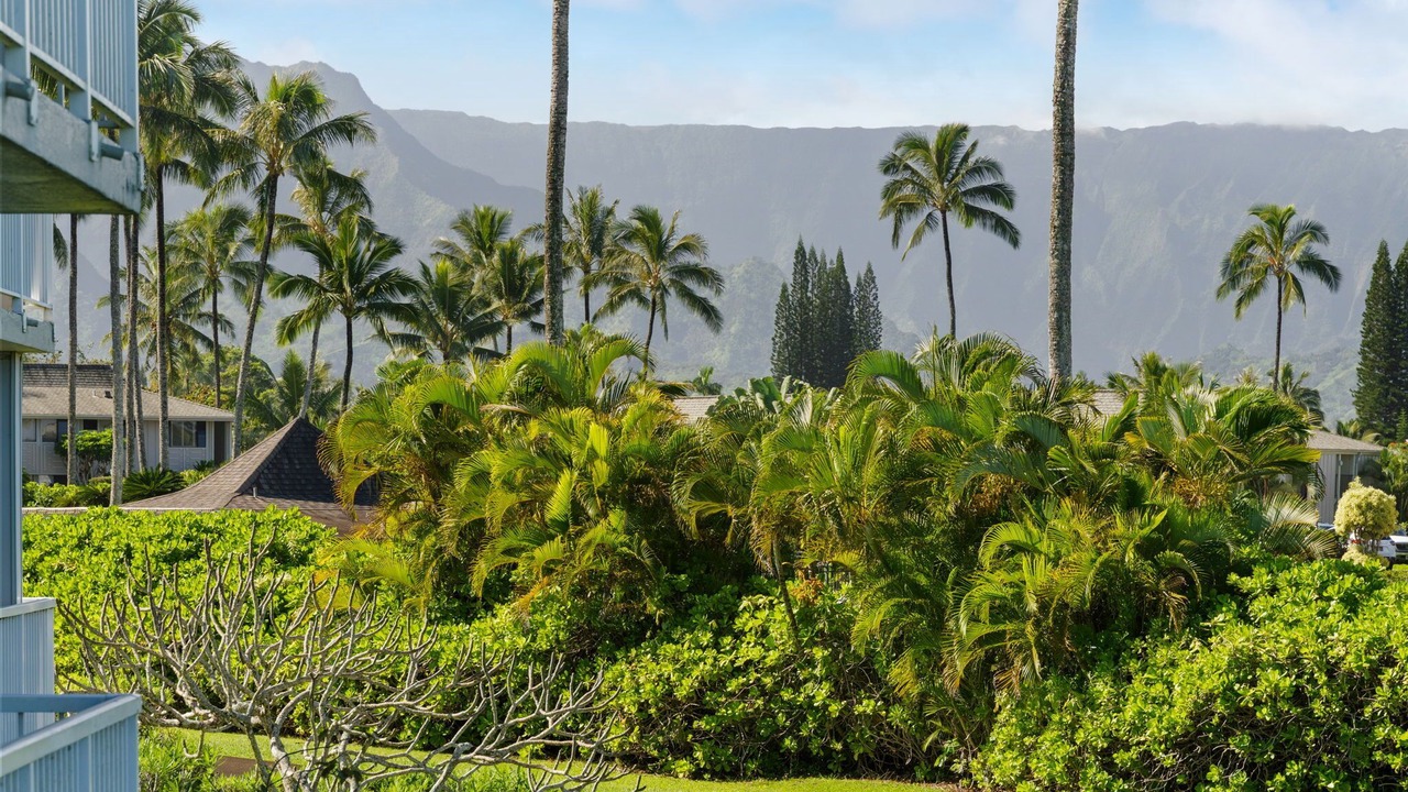 Photo of Outdoor in Princeville