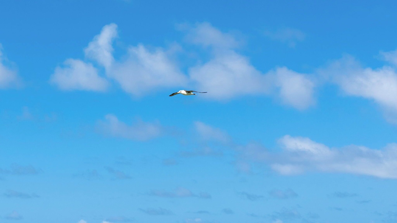 Photo of Others in Princeville