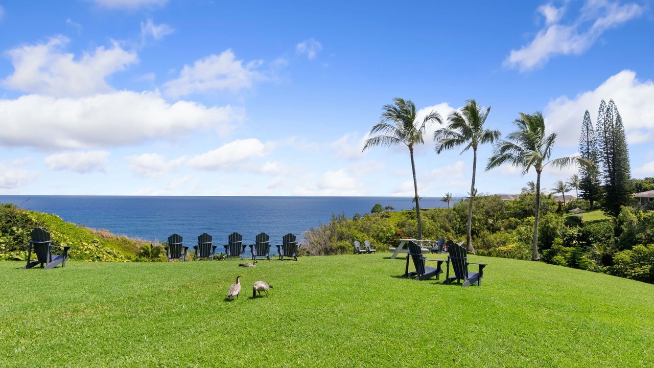 Photo of Others in Princeville