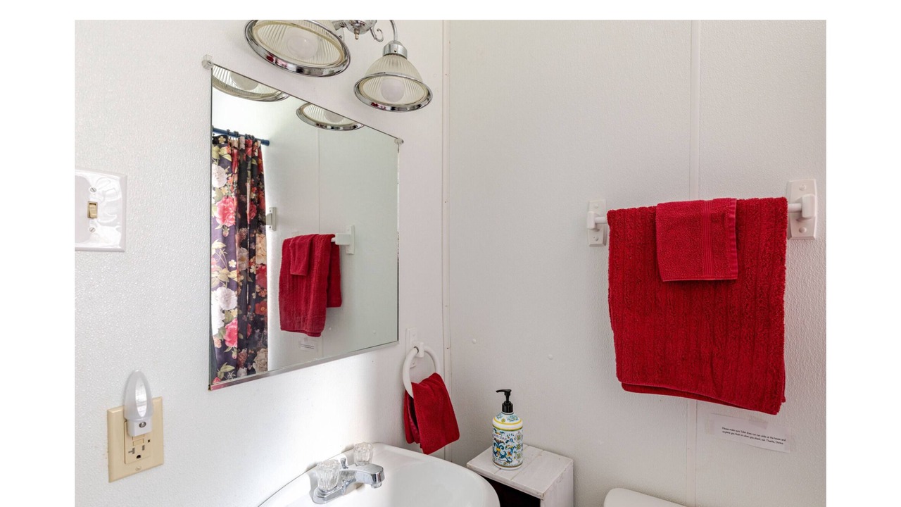 Photo of Bathroom in Pulaski