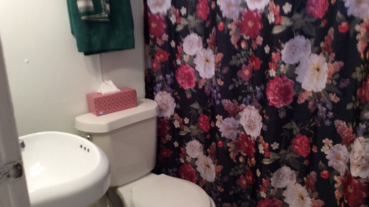Photo of Bathroom in Pulaski