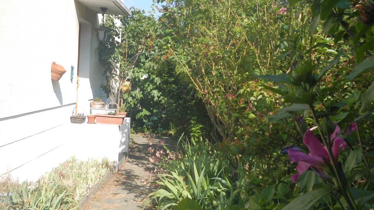 Photo of Outdoor in Limeil-Brevannes