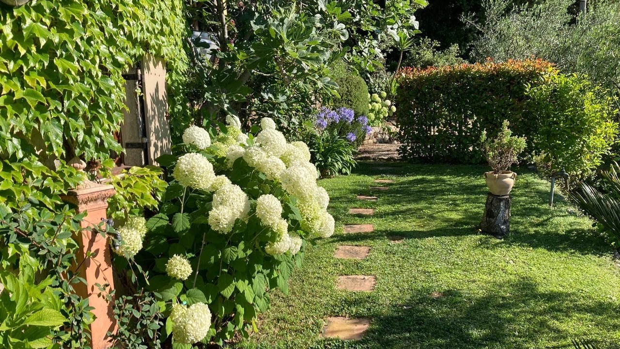 Photo of Outdoor in Grasse