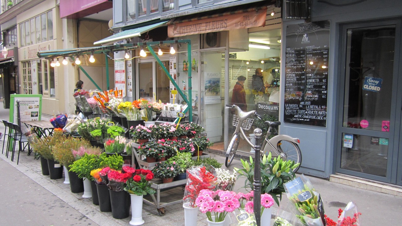 Photo of Outdoor in Vivienne