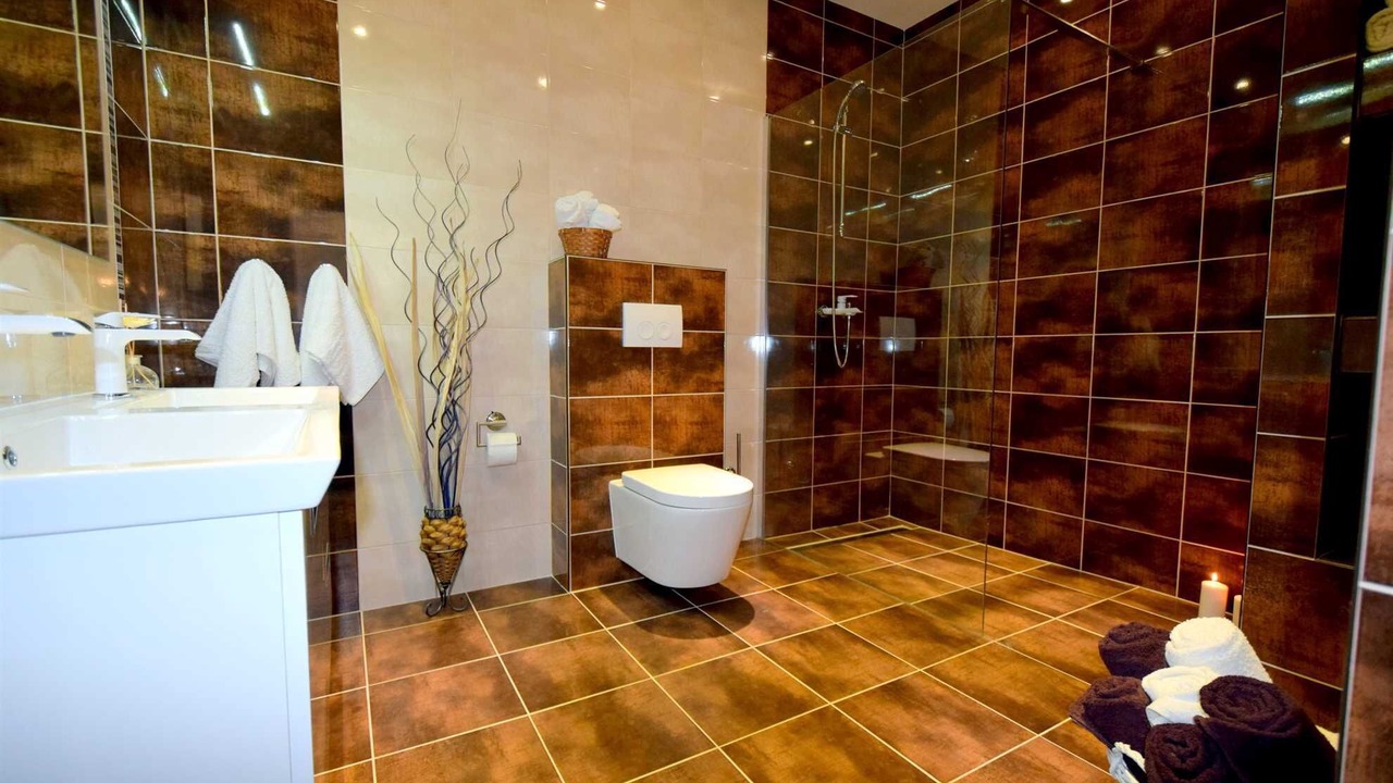 Photo of Bathroom in Milcetici