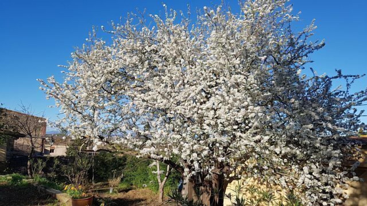 Photo of Outdoor in Sobrestany