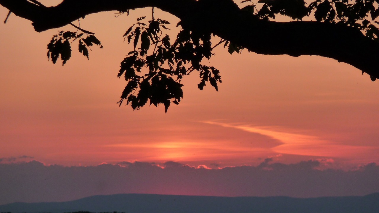 Photo of Others in Front Royal