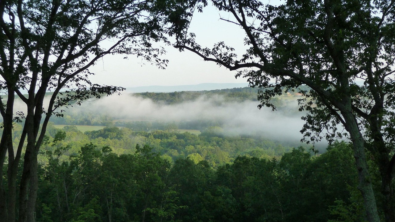 Photo of Outdoor in Front Royal