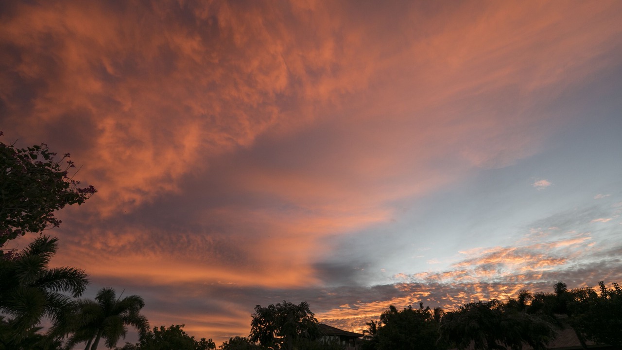 Photo of Others in Kulalani