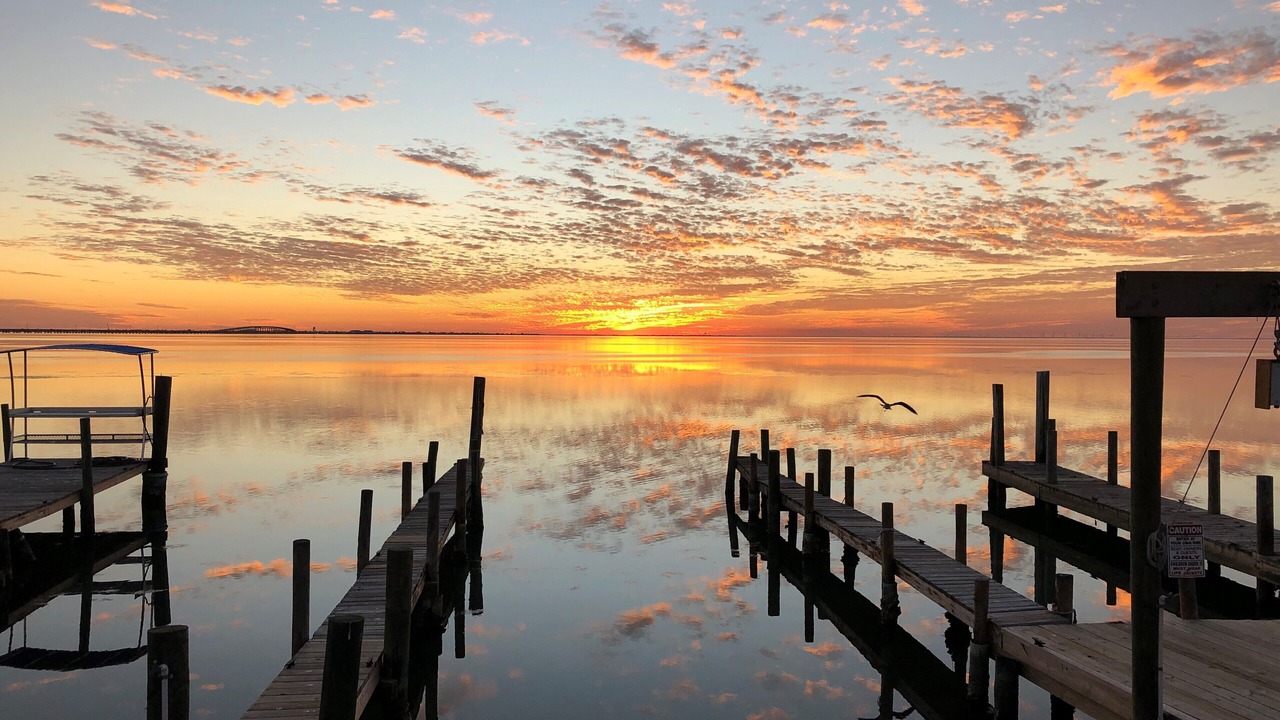 Photo of Others in South Padre Island