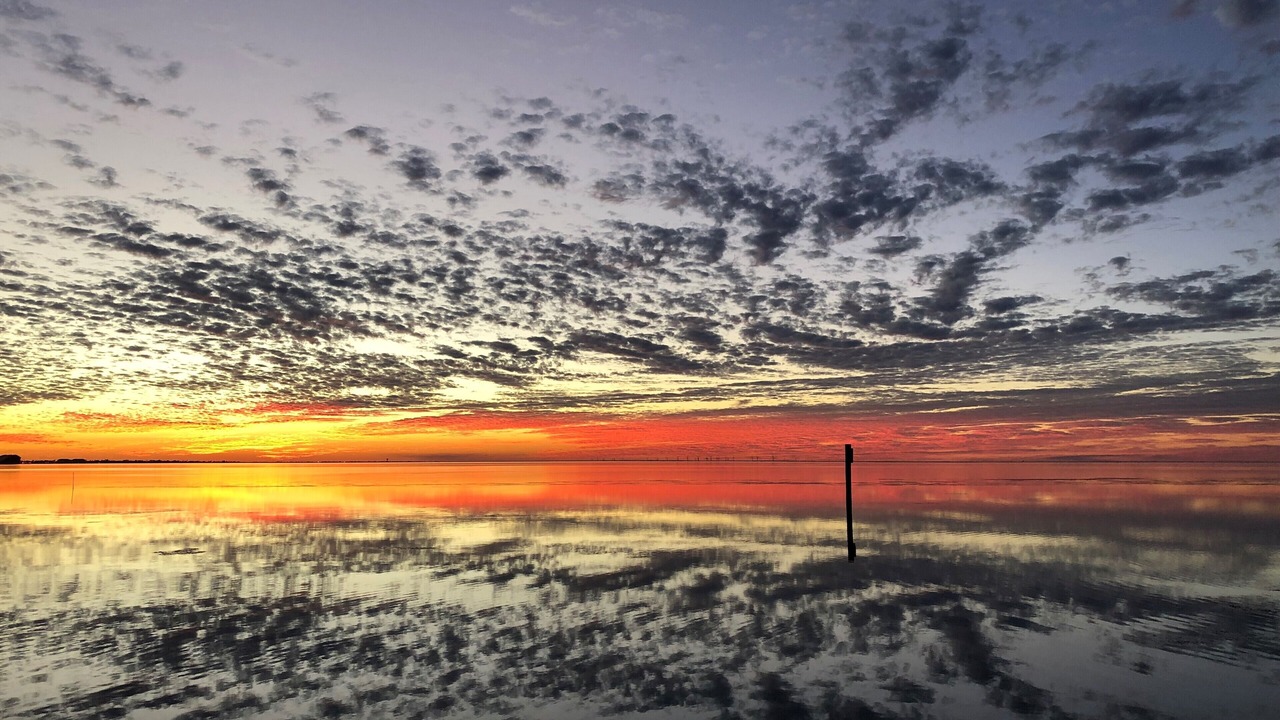 Photo of Others in South Padre Island