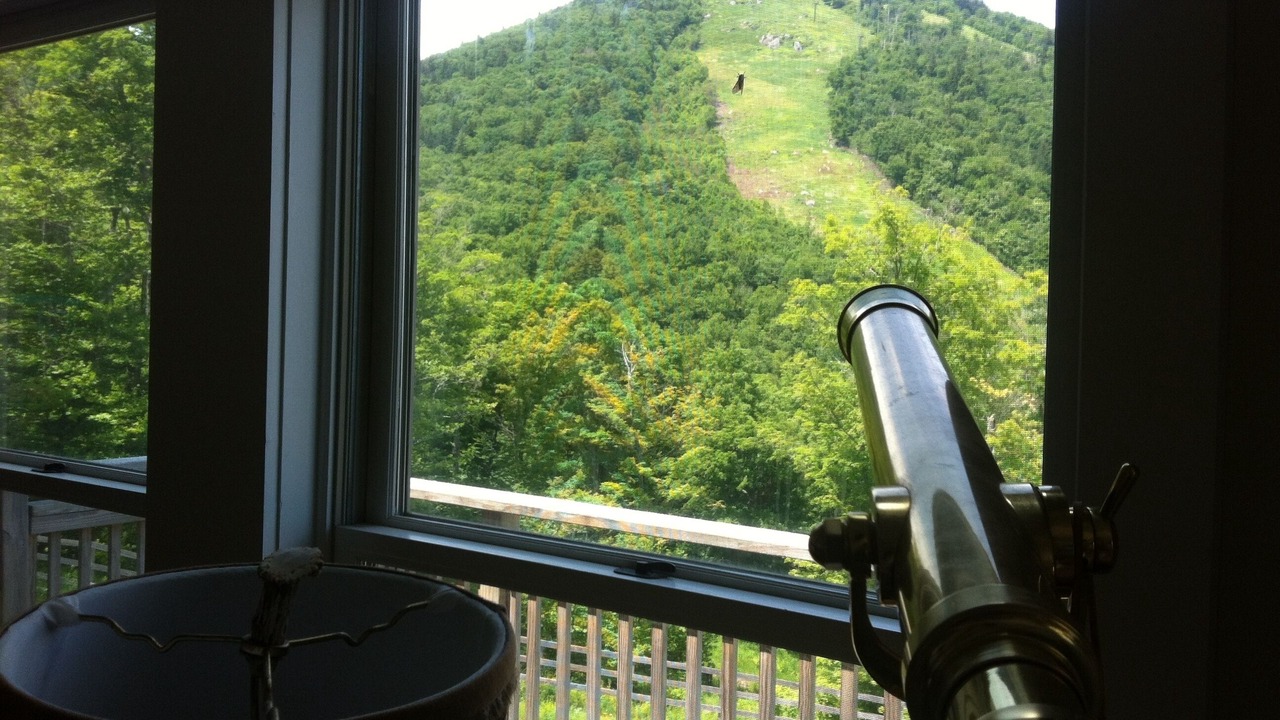 Photo of Others in Central Vermont- Killington